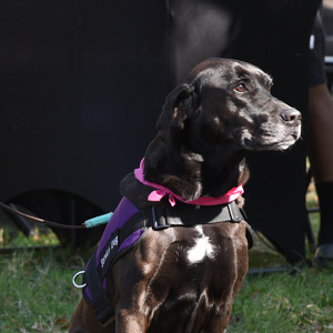 Team Page: Kathie Michael